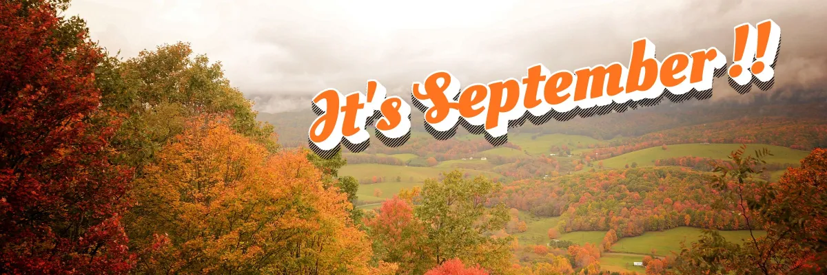 What Should Businesses Post About on Social Media in September 2026?