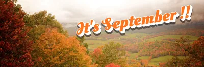 What Should Businesses Post About on Social Media in September 2026?