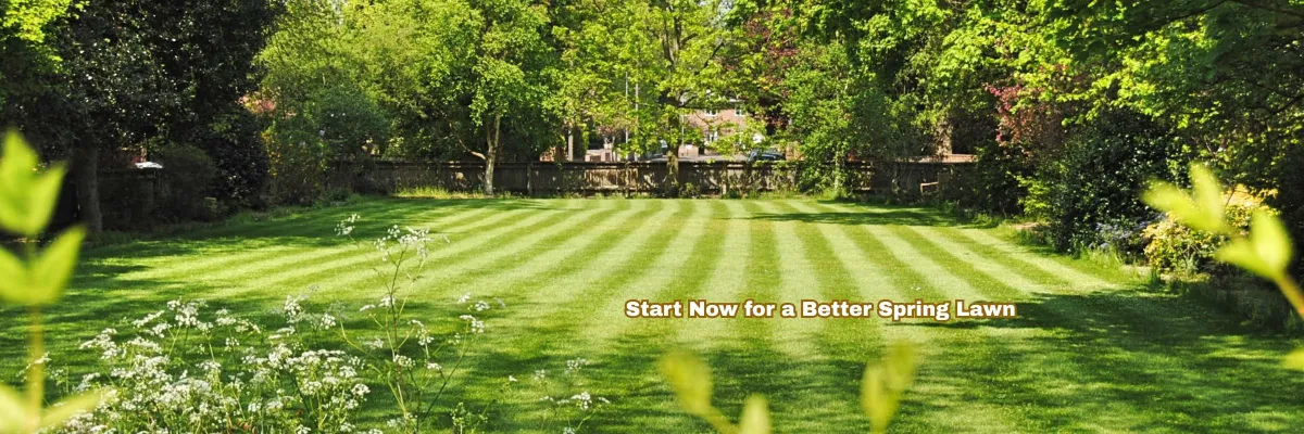 Is It Time to Aerate and Fall See Your Lawn?